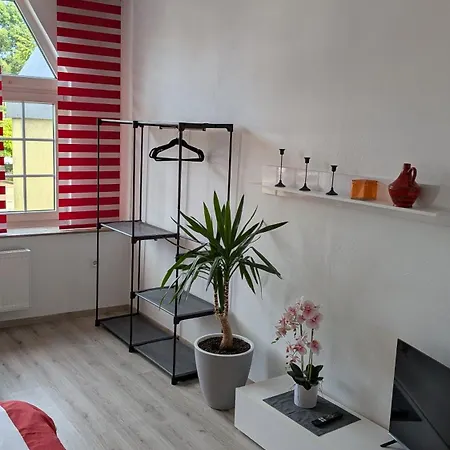 Moderne Altbauwohnung 80qm Daire